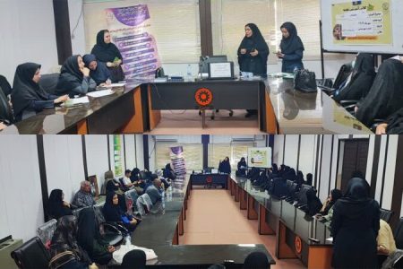 خوزستان/ برگزاری برنامه آموزشی ایمنی و تغذیه سالم ویژه سالمندان در دزفول