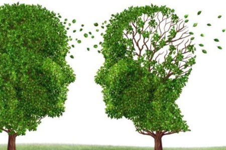 آلزایمر | دلایل، پیشگیری، راه درمان