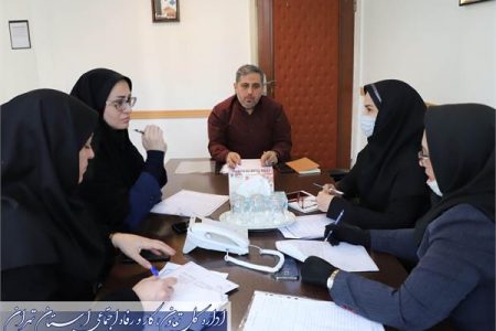 تشکیل کمیته های تخصصی شورای ملی سالمندان استان تهران