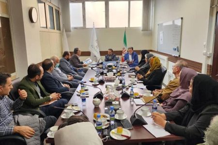 تأکید دکتر فولادیان بر رویکرد پژوهش‌محور در مواجهه با بحران سالمندی