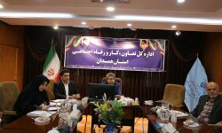 همدان/ برگزاری جلسات کمیته‌های تخصصی شورای سالمندان استان همدان