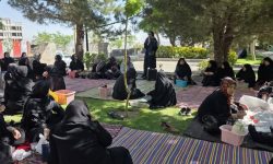 همدان/ برگزاری دورهمی و برنامه طبیعت‌گردی ویژه سالمندان در همدان
