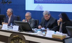 ۲۶۴ هزار سالمند دارای معلولیت تحت پوشش بهزیستی؛ گیلان سالمندترین استان کشور