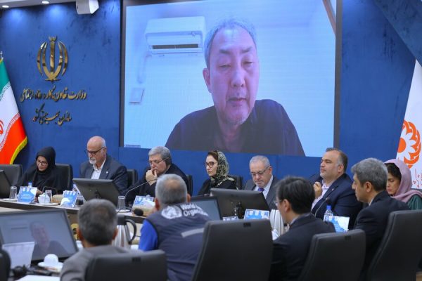 چشم‌انداز راهبردی صندوق جمعیت ملل متحد در مورد چگونگی مشارکت رویکردهای جامعه‌محور در سالمندی سالم